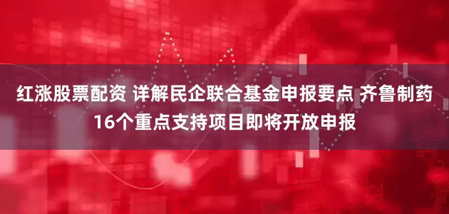 红涨股票配资 详解民企联合基金申报要点 齐鲁制药16个重点支持项目即将开放申报