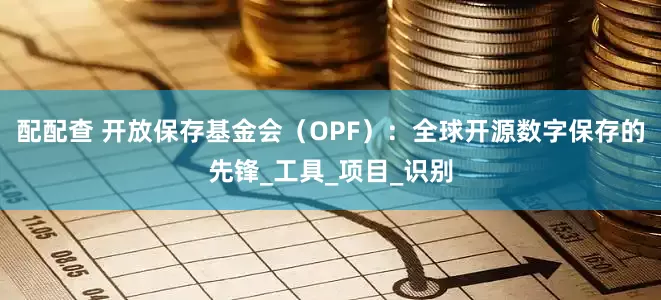 配配查 开放保存基金会（OPF）：全球开源数字保存的先锋_工具_项目_识别