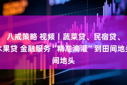 八戒策略 视频丨蔬菜贷、民宿贷、水果贷 金融服务“精准滴灌”到田间地头
