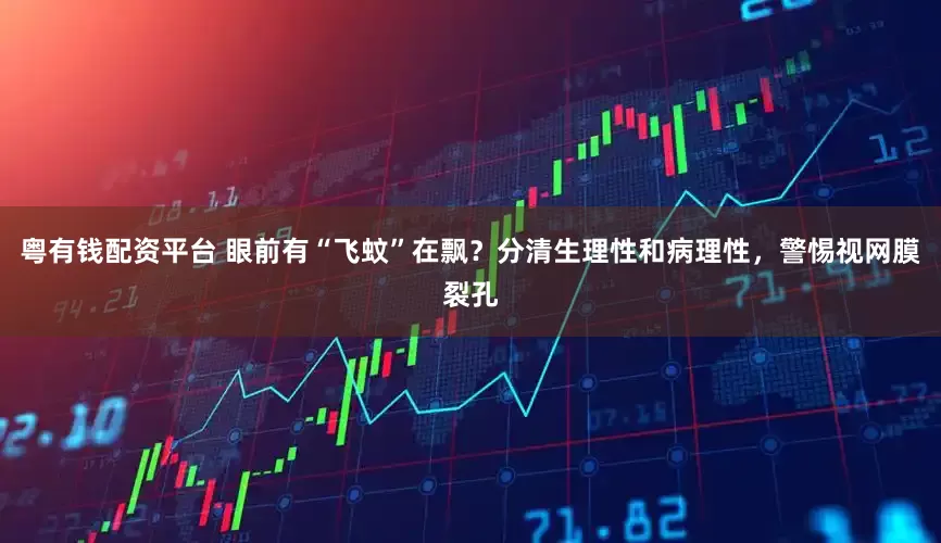 粤有钱配资平台 眼前有“飞蚊”在飘？分清生理性和病理性，警惕视网膜裂孔