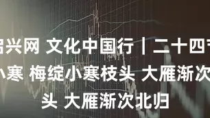 启兴网 文化中国行｜二十四节气·小寒 梅绽小寒枝头 大雁渐次北归